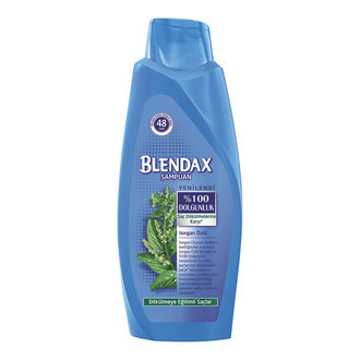 Blendax Isırgan Özlü Şampuan 550 Ml