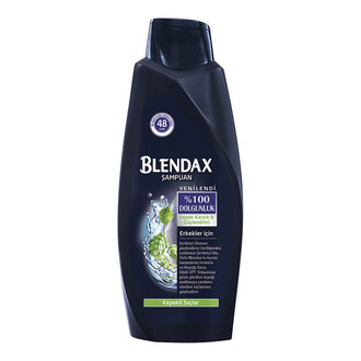 Blendax Erkekler İçin Kepeğe Karşı Etkili Şampuan 550 Ml
